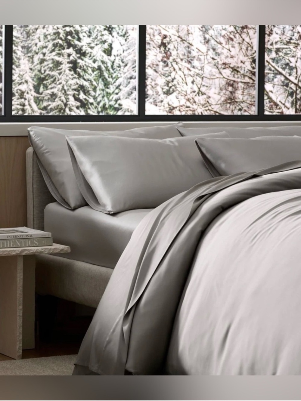 Cozy Earth King Pillow Case Bamboo Viscose Set of 2 Luxury in Light Gray 20x38